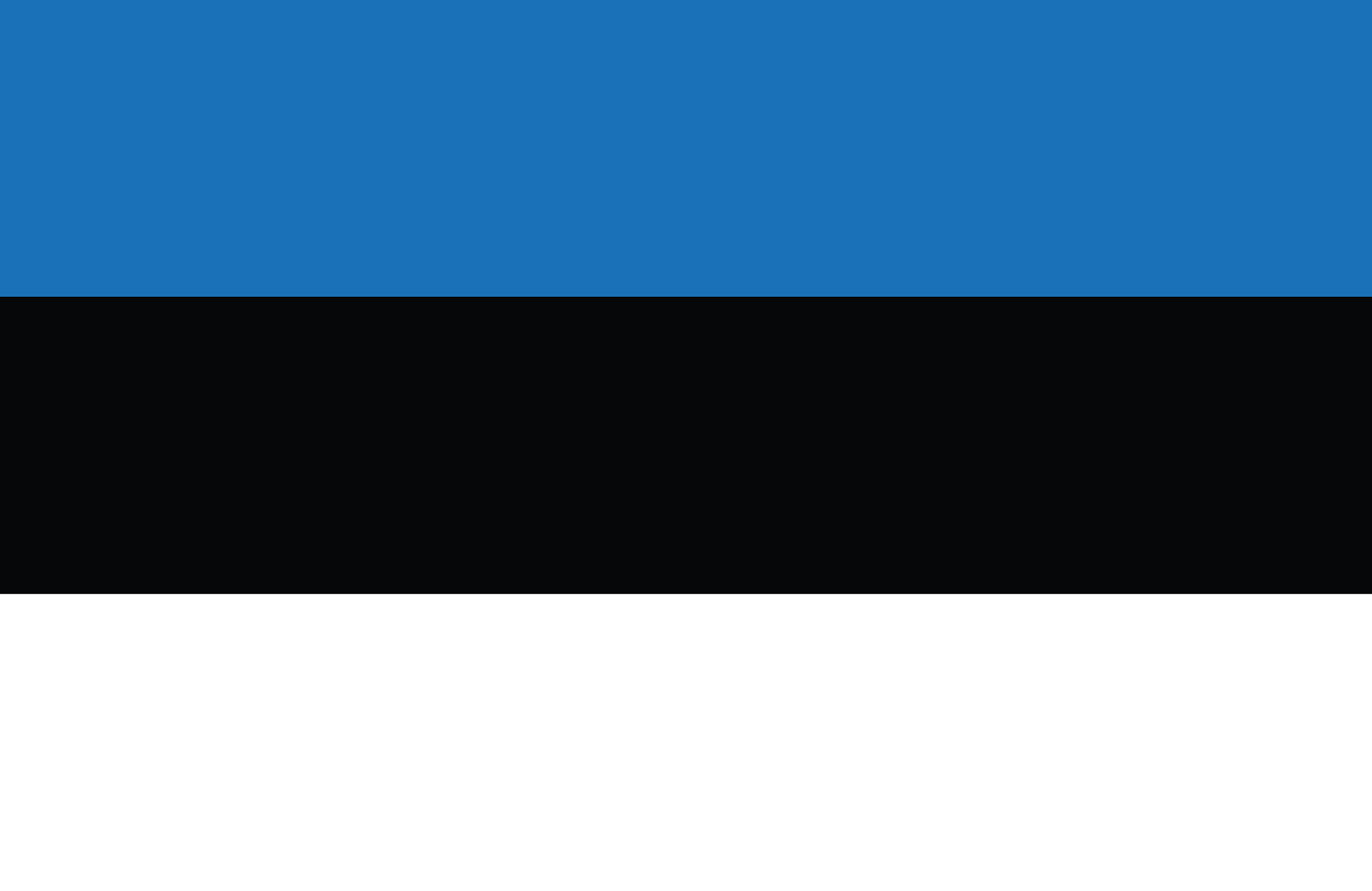 エストニア国旗